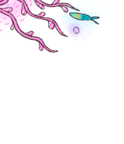 mob-banner-back1-dec